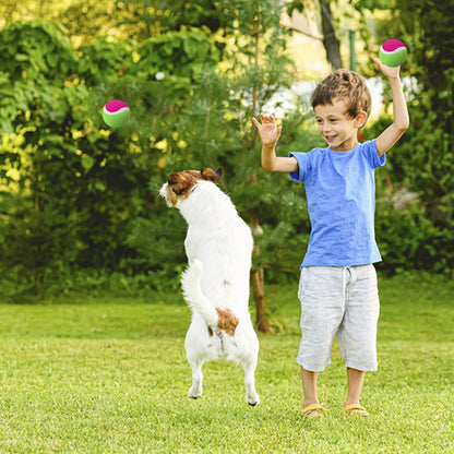 Toss and Catch Ball Set